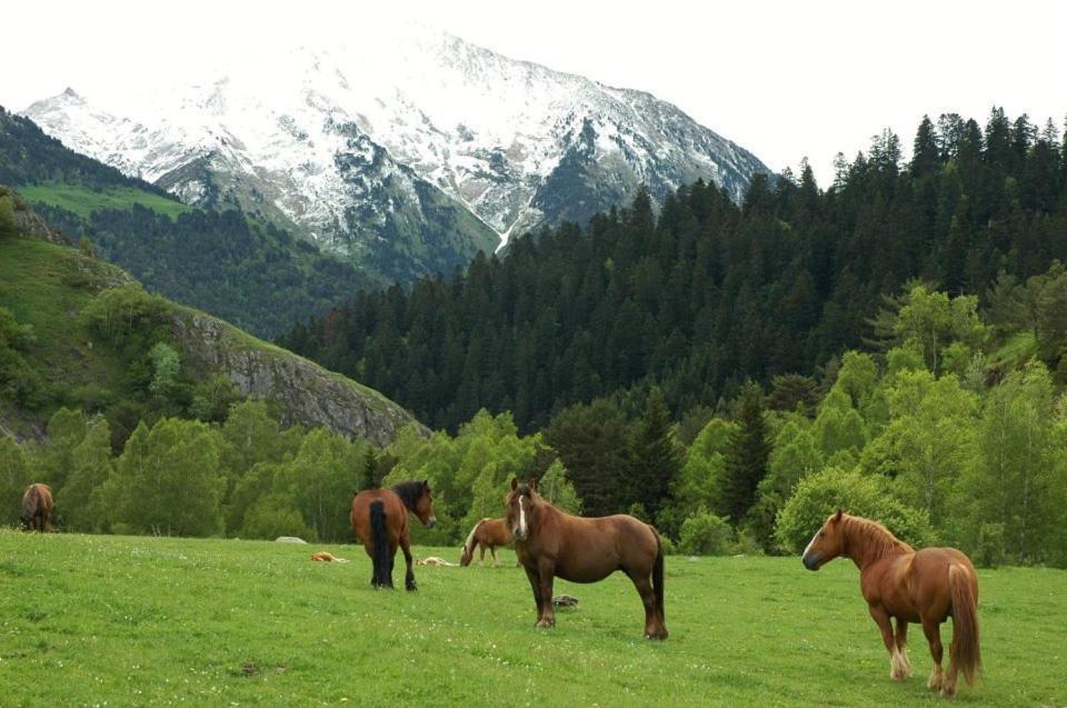 Pensio La Creu Hotel Esterri d'Àneu Kültér fotó